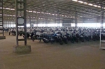 Bajaj Godown