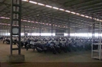 Bajaj Godown